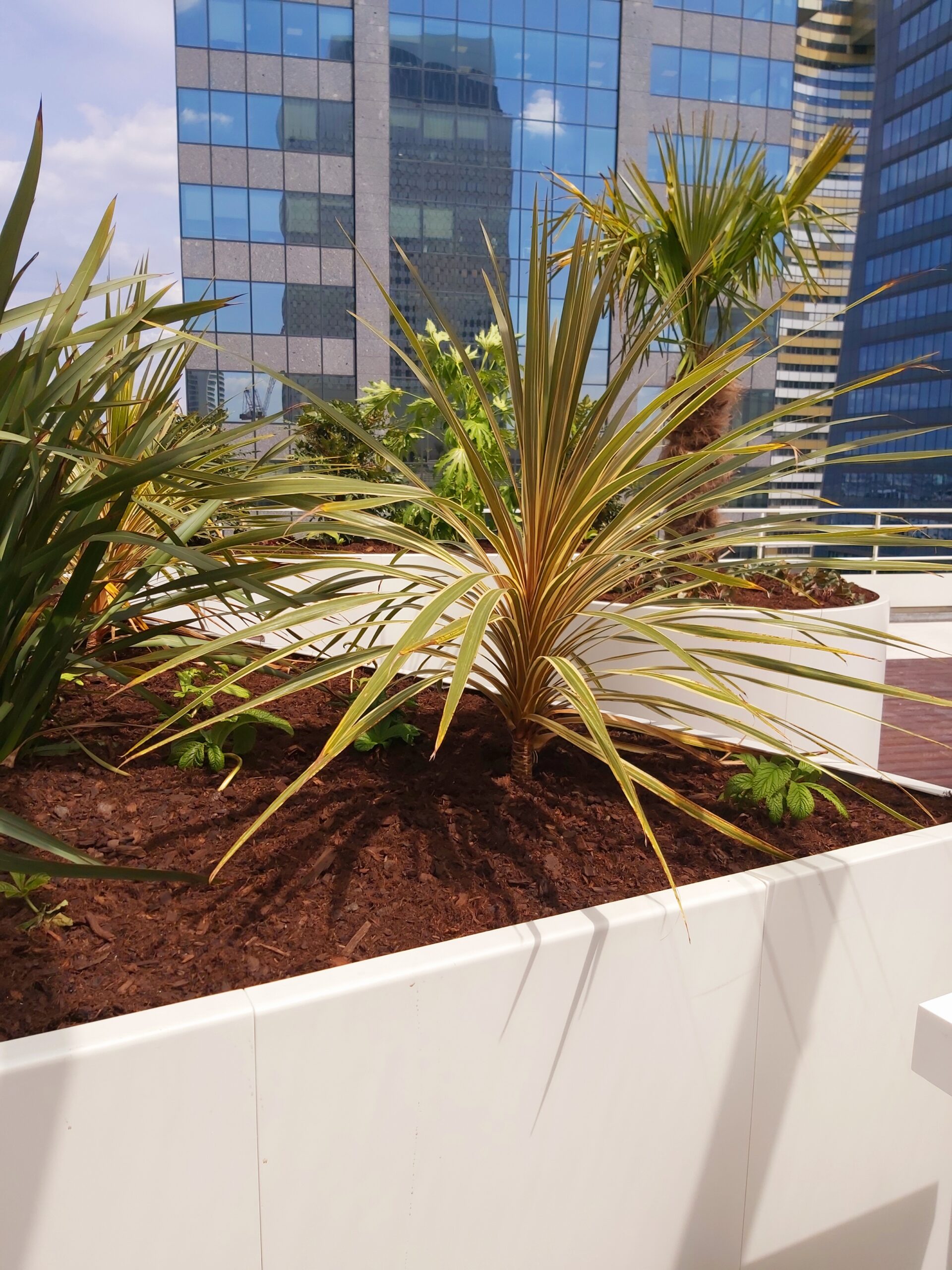 Jardinières et costières sur mesure en acier thermolaqué de fabrication Licce pour le projet Tour la Défense