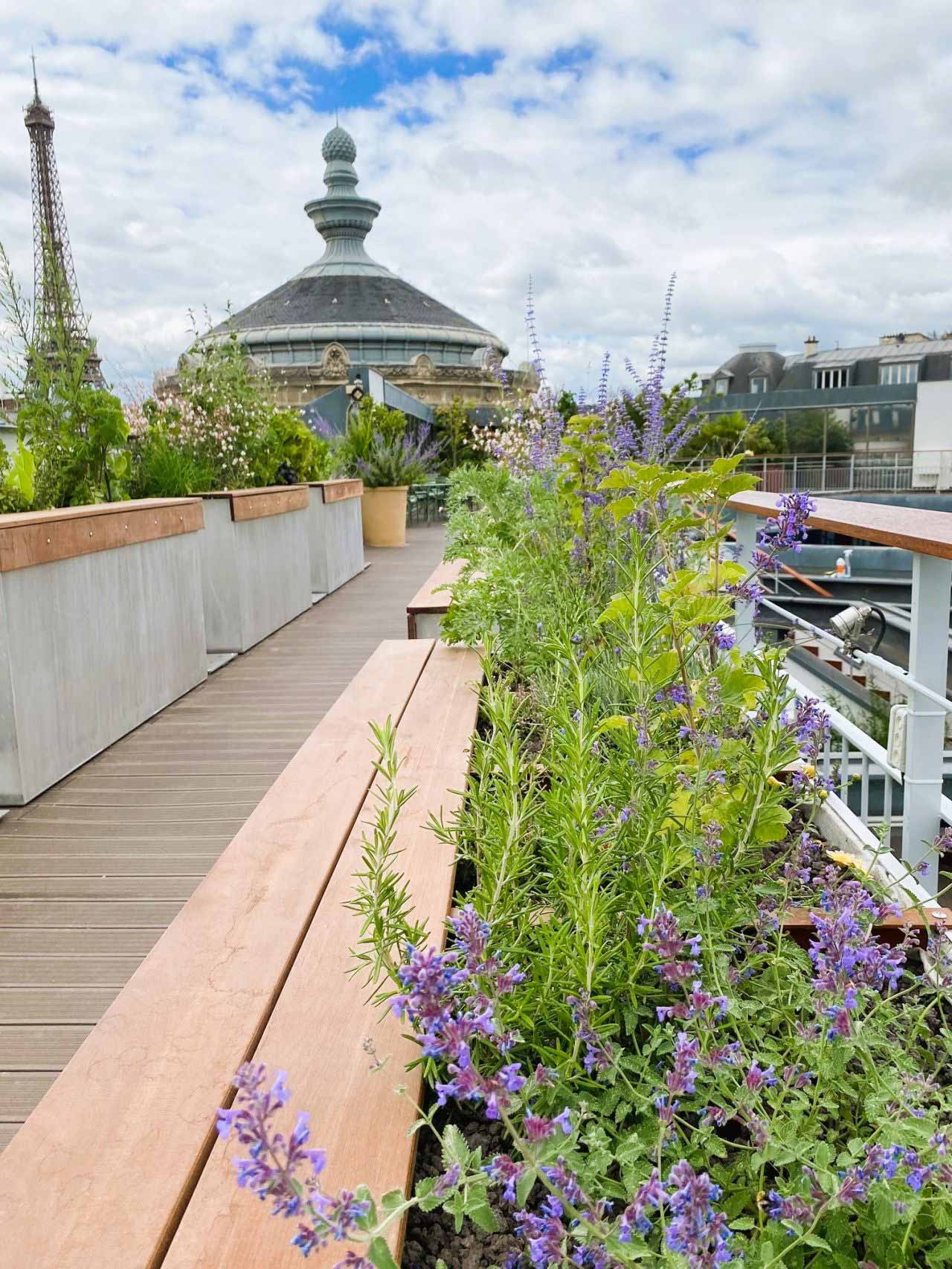 Jardinières en aluminium brossé avec assise en bois de fabrication Licce sur une terrasse/toiture végétalisée