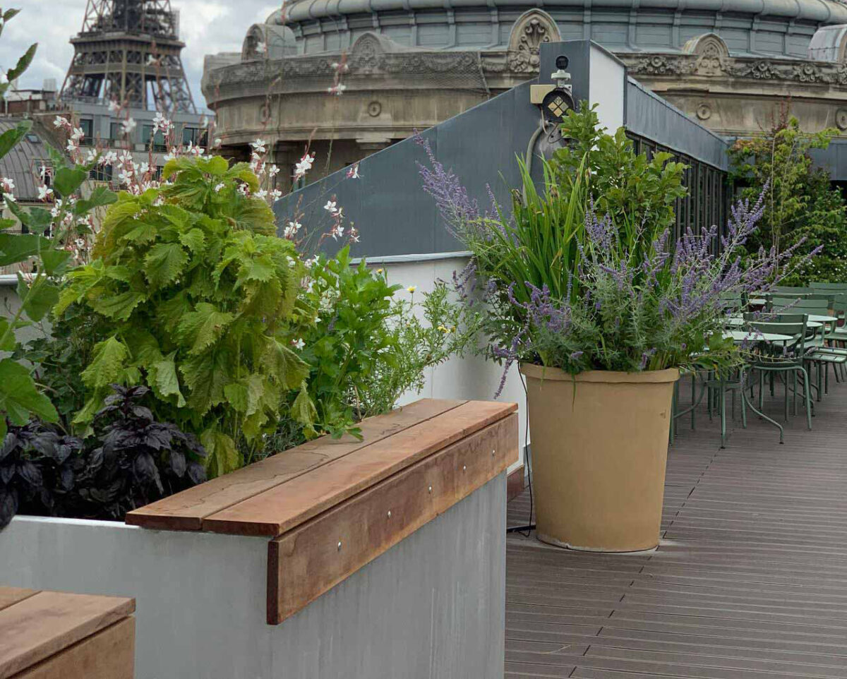 Jardinières en aluminium brossé avec assise en bois de fabrication Licce