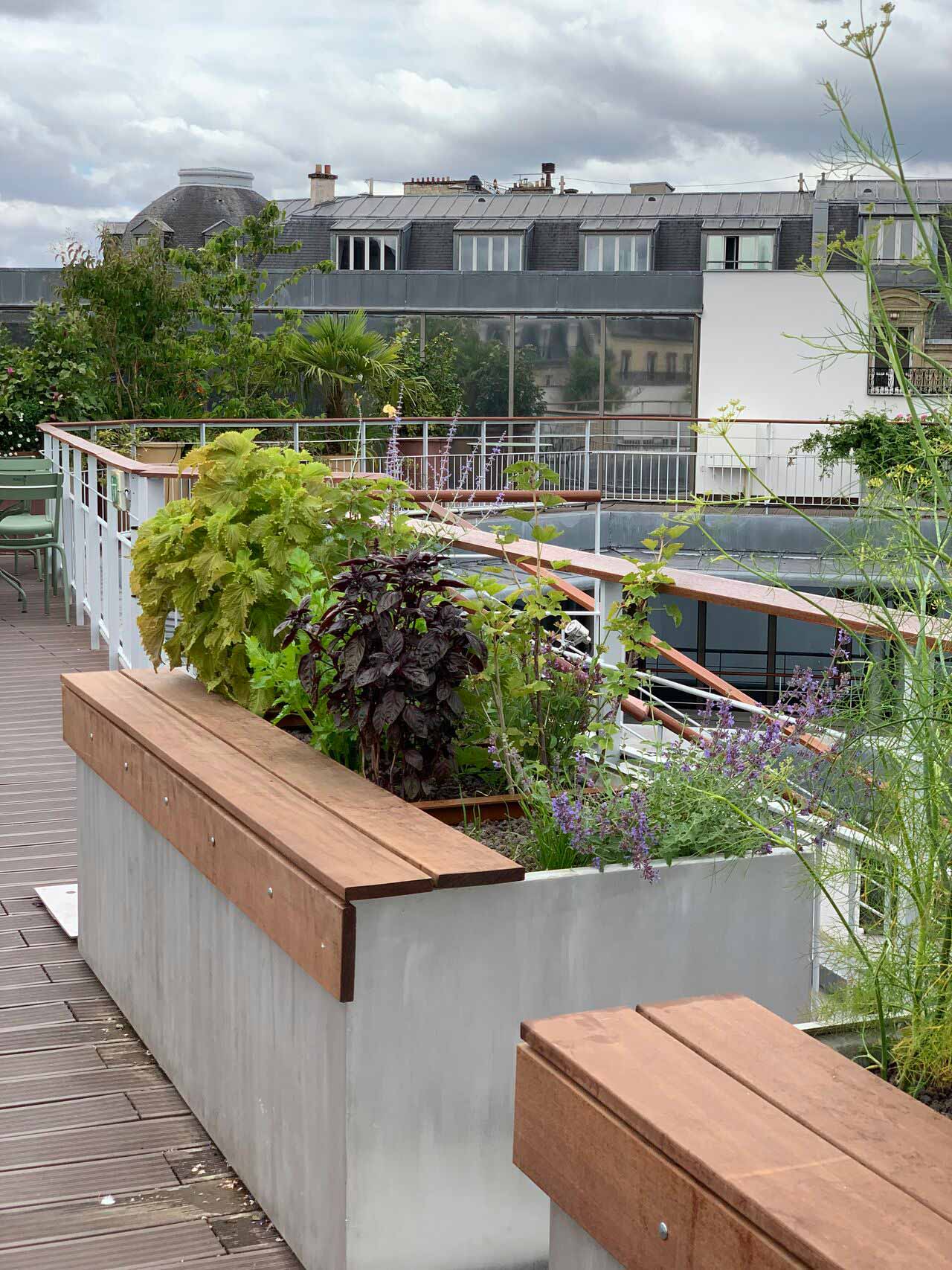 Jardinières en aluminium brossé avec assise en bois de fabrication Licce sur une terrasse/toiture végétalisée