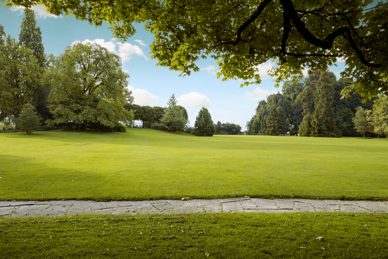 Nature urbaine : un parc en ville avec aménagements paysagers