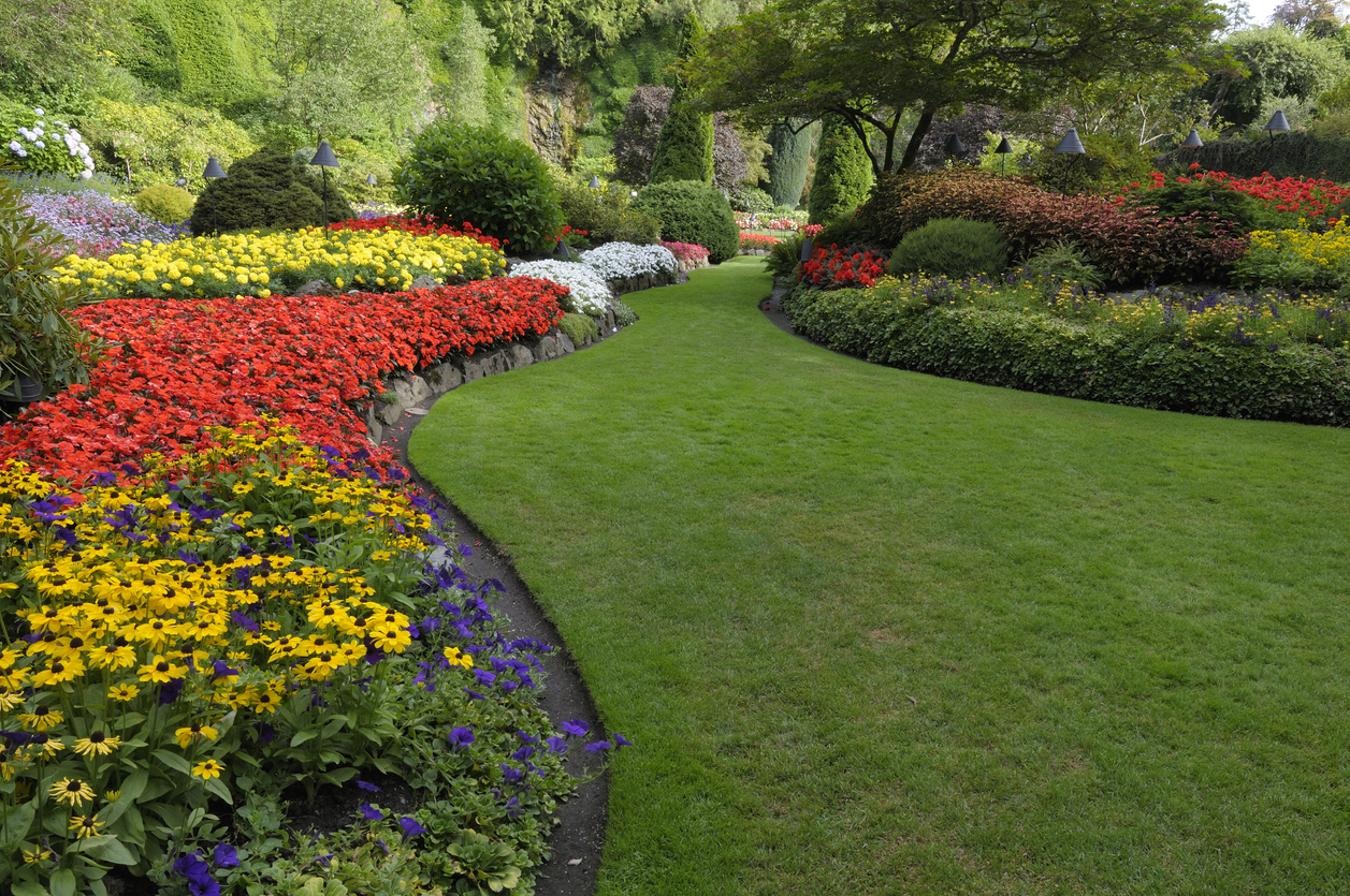 Nature urbaine : un parc en ville avec aménagements paysagers