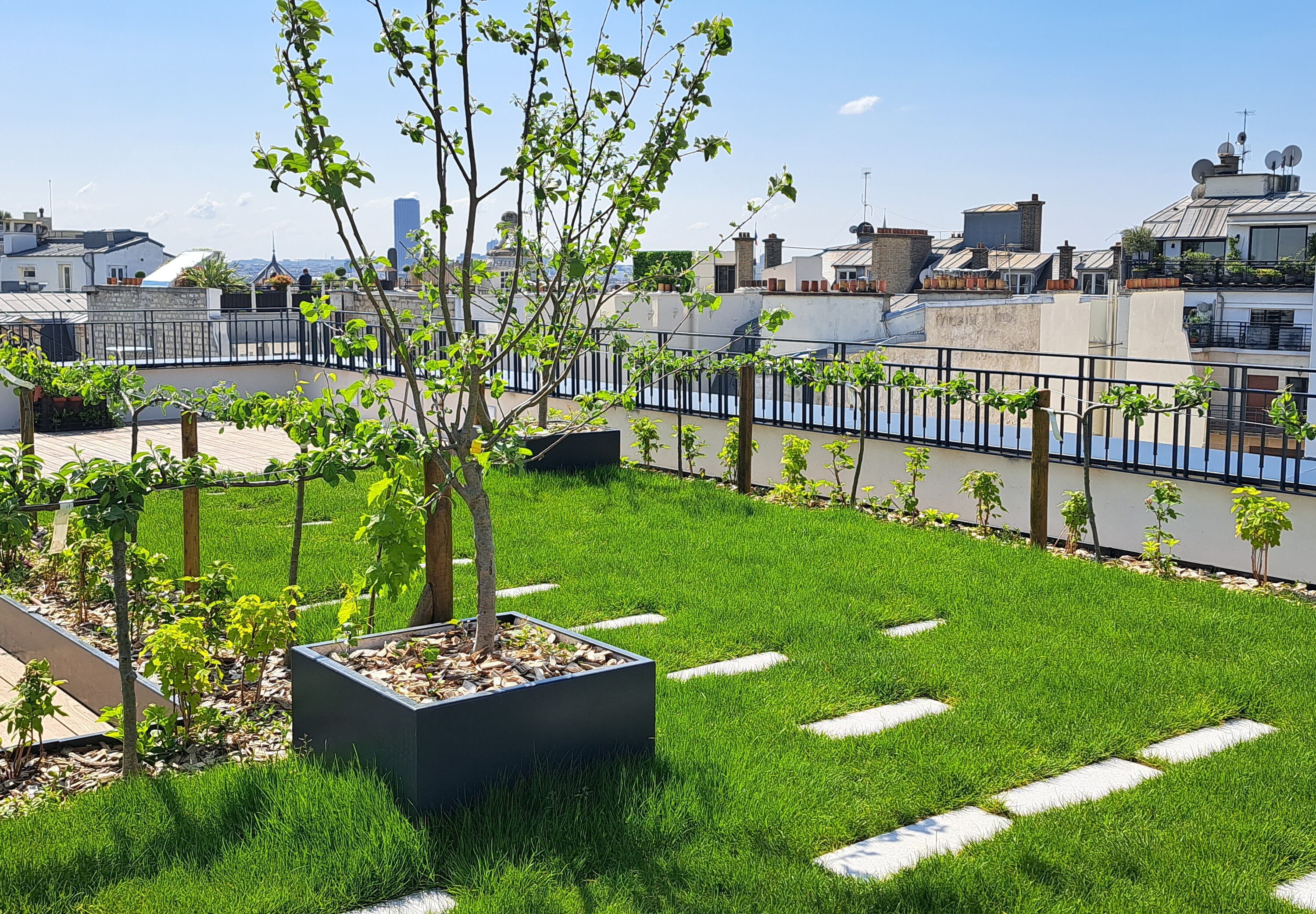 Projet rue Chateaubriand - Jardinières en acier thermolaqué Licce