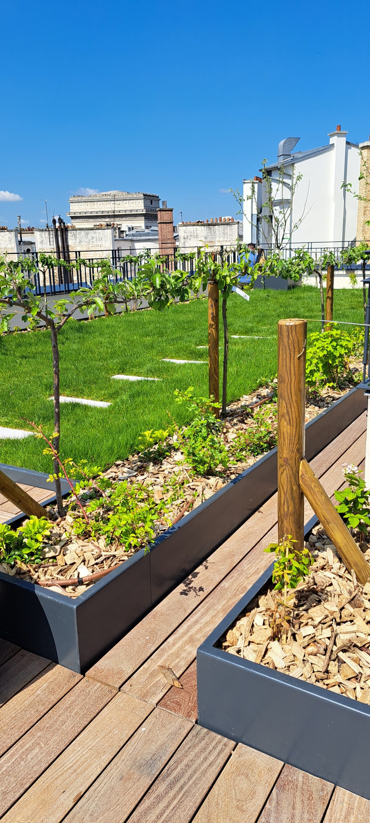 Projet rue Chateaubriand - Jardinières en acier thermolaqué Licce