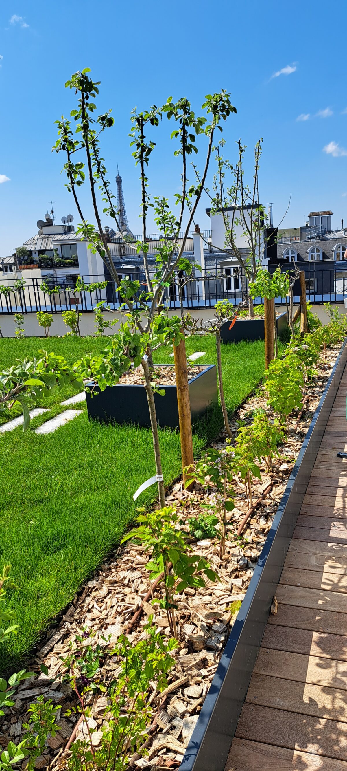 Projet rue Chateaubriand - Jardinières en acier thermolaqué Licce