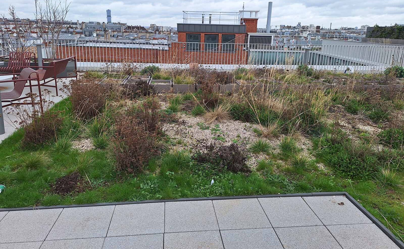 Ensemble de jardinières et costières pour un immeuble parisien