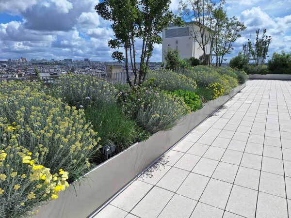 Jardinières pour une terrasse rue du Temple à Paris