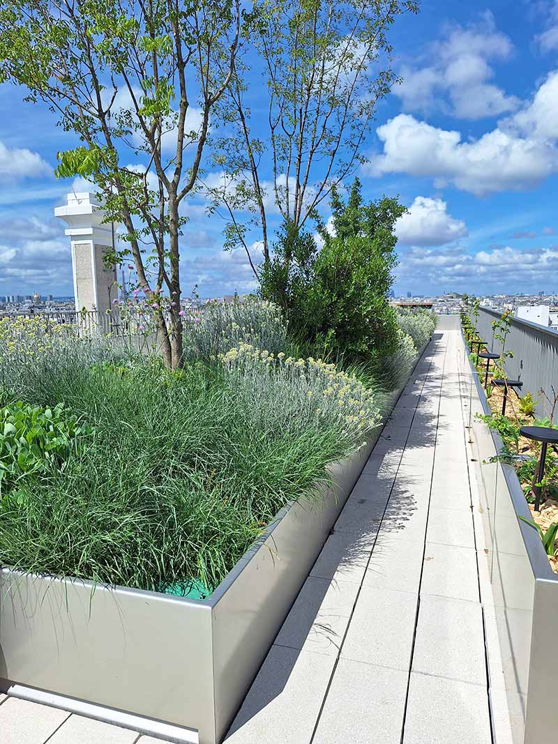 Bacs de plantation pour une terrasse rue du Temple à Paris