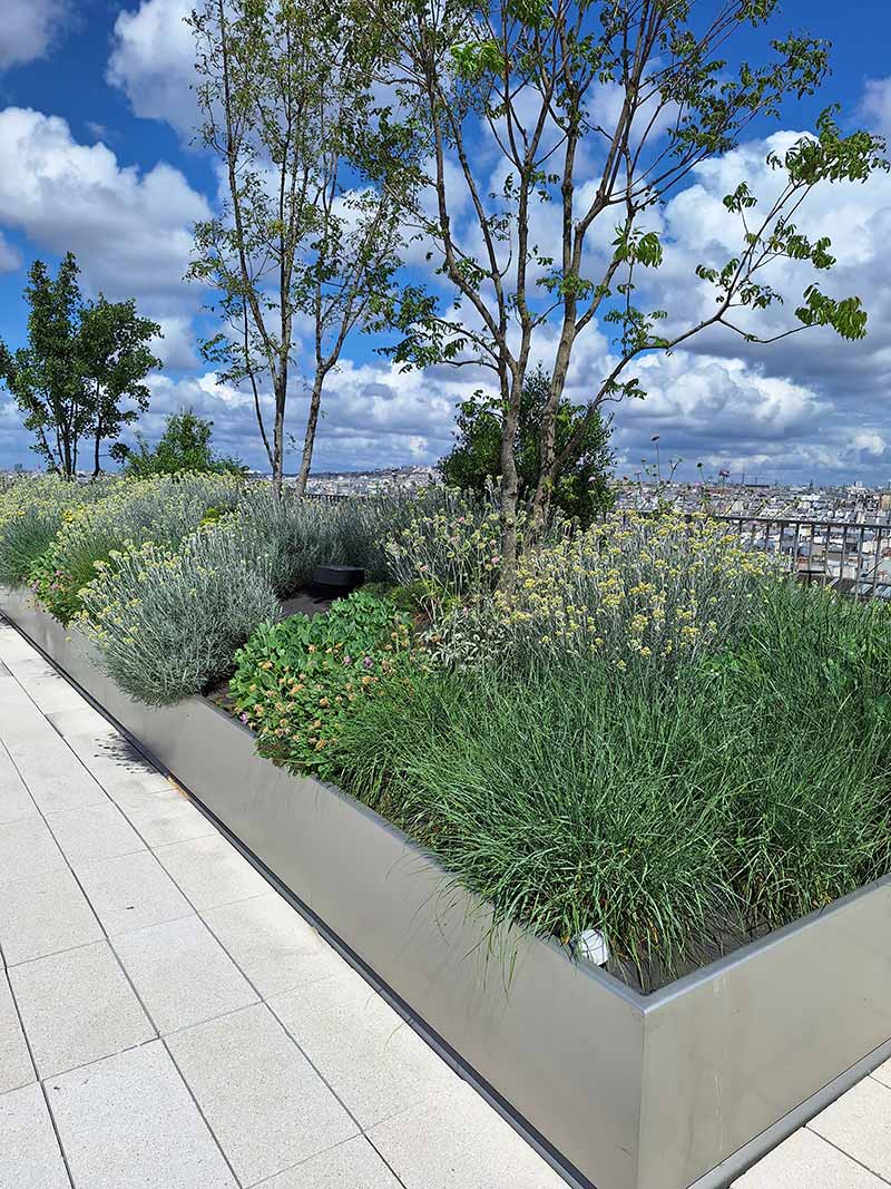 Jardinières pour une terrasse rue du Temple à Paris