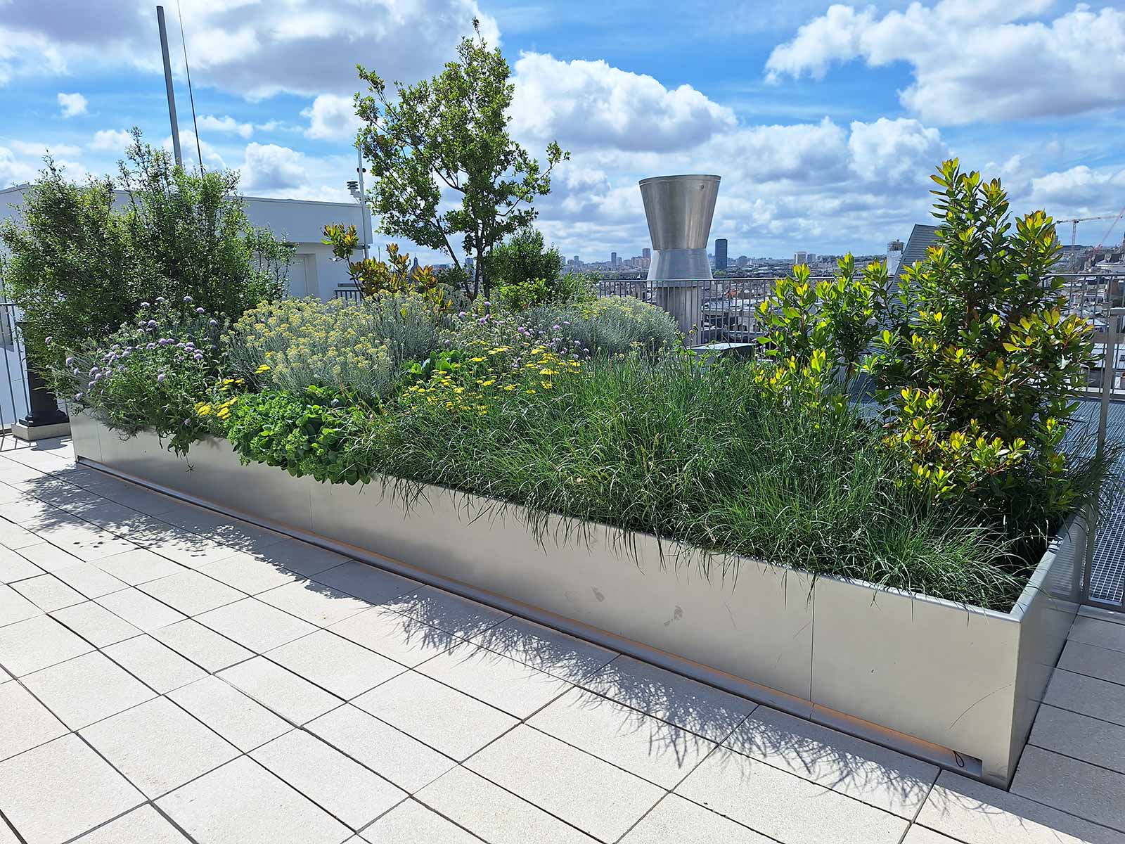 Bacs de plantation pour une terrasse rue du Temple à Paris