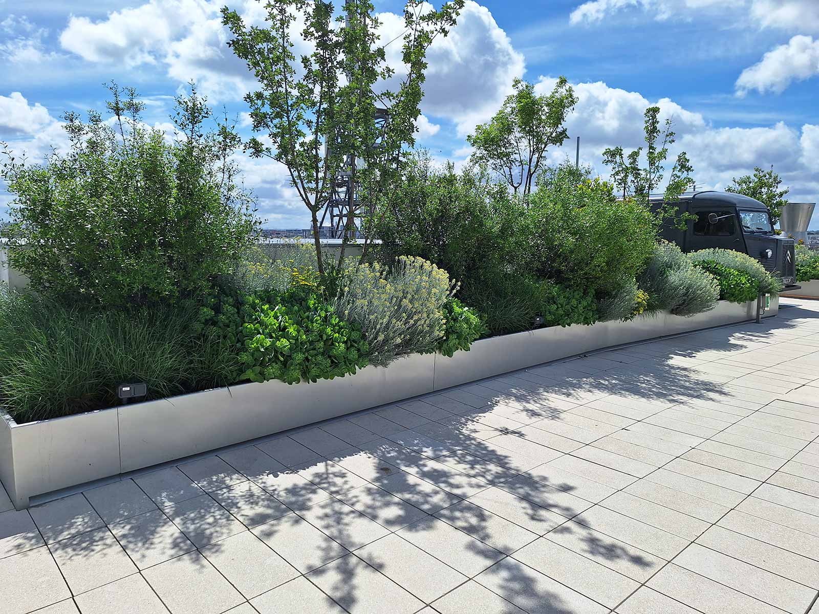 Bacs de plantation pour une terrasse rue du Temple à Paris