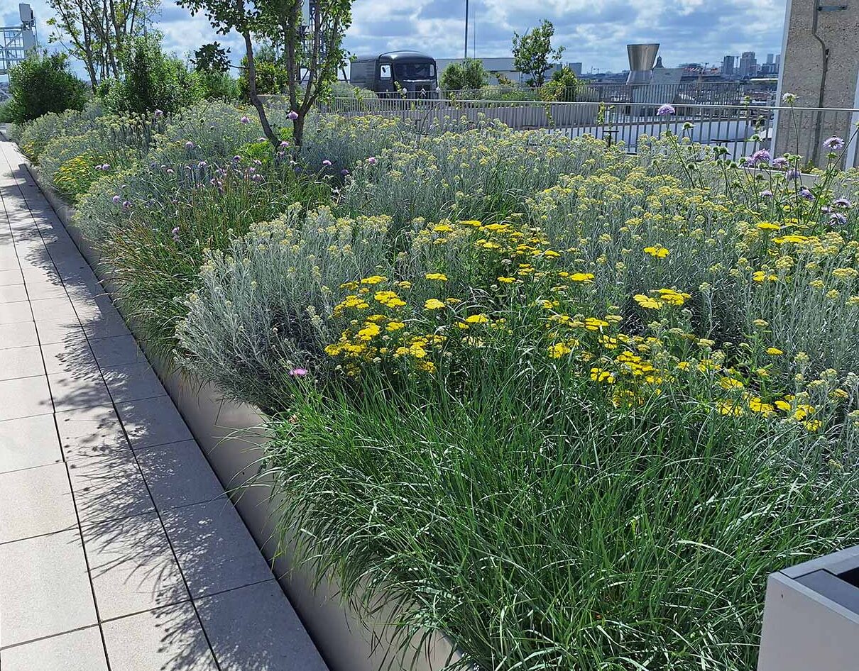 Bacs de plantation pour une terrasse rue du Temple à Paris