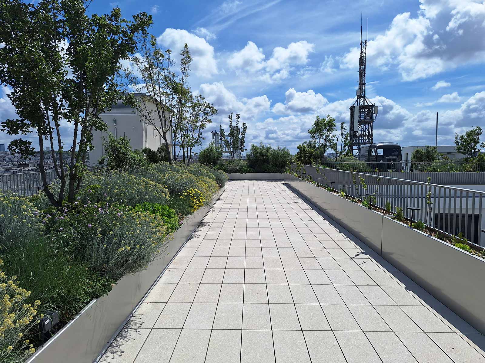 Jardinières pour une terrasse rue du Temple à Paris