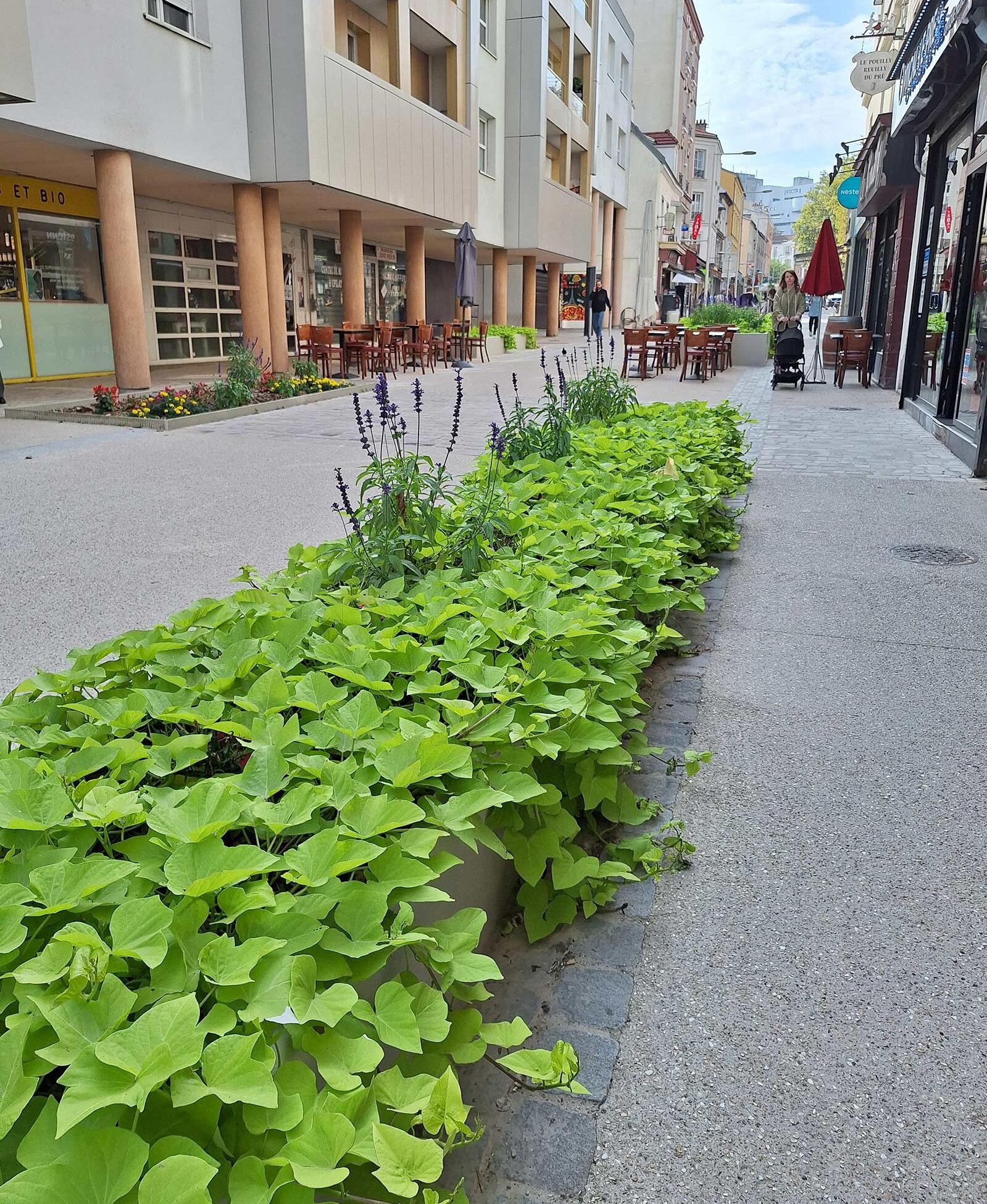 bacs de plantation sur mesure de fabrication Licce pour l'espace piétonnier de Pré-Saint-Gervais