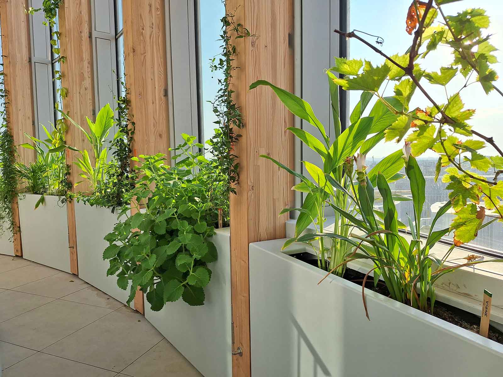 Jardinières rectangulaires en métal sur mesure de fabrication Licce pour la Tour Racine