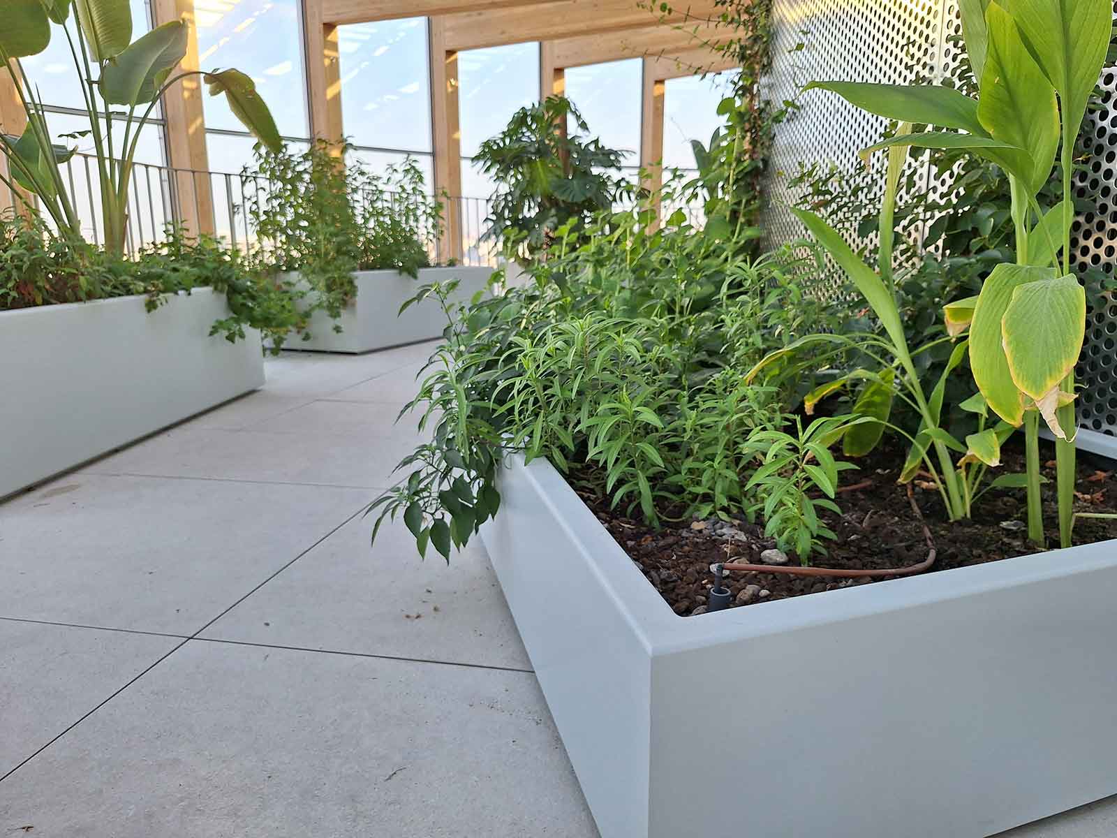 Jardinières rectangulaires en métal sur mesure de fabrication Licce pour la Tour Racine