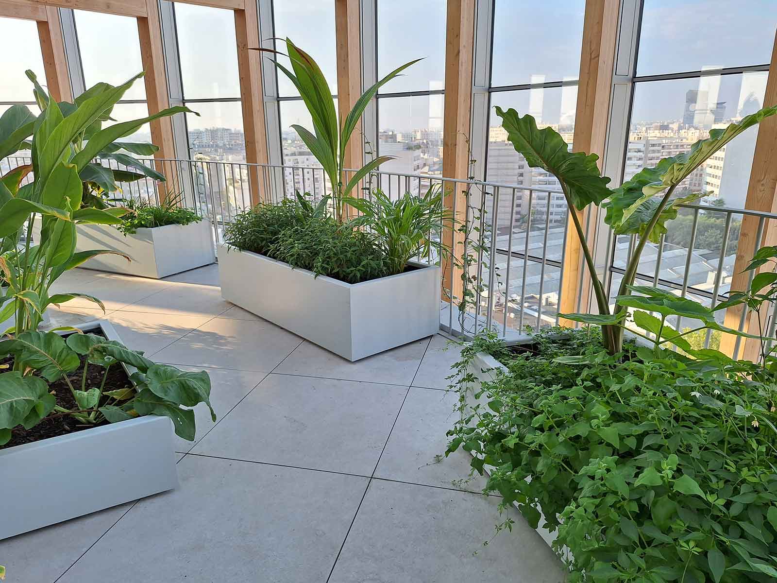 Jardinières rectangulaires en métal sur mesure de fabrication Licce pour la Tour Racine