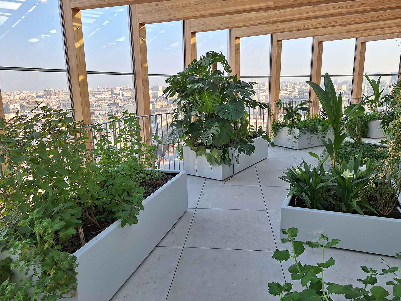 Jardinières rectangulaires en métal sur mesure de fabrication Licce pour la Tour Racine