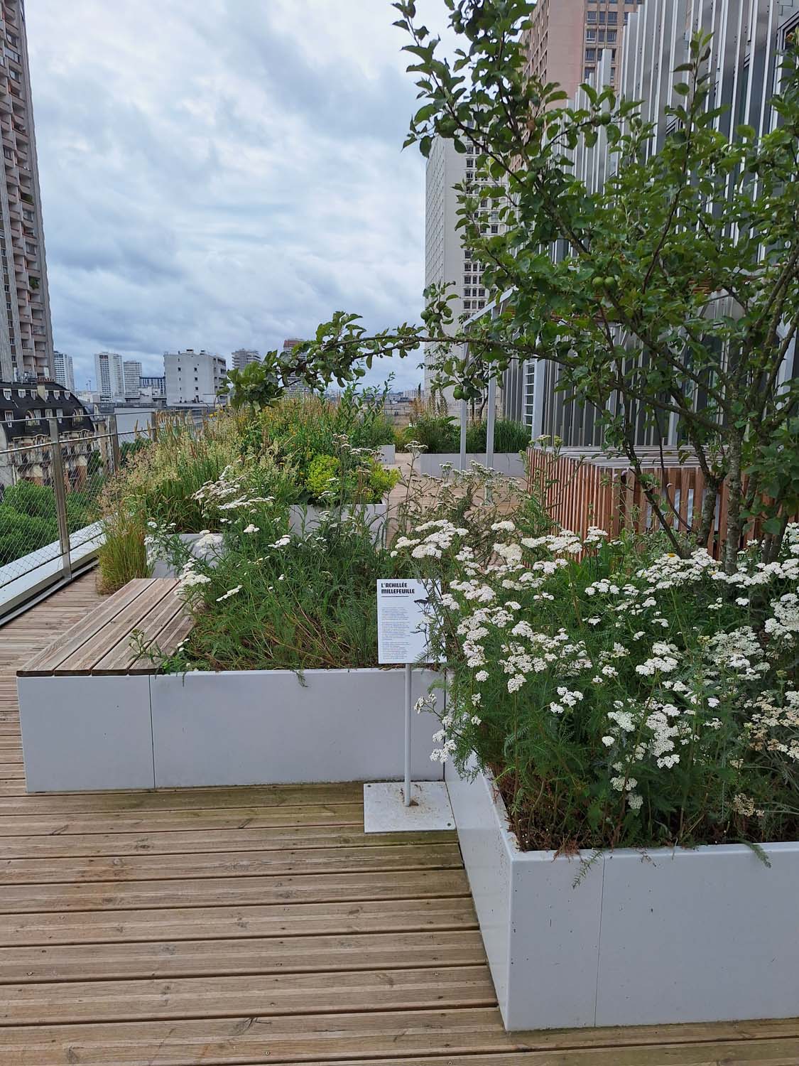 Rooftop du théâtre Le 13e Art, Porte d’Italie à Paris - Jardinières/costières sur mesure en acier thermolaqué fabriquées par Licce