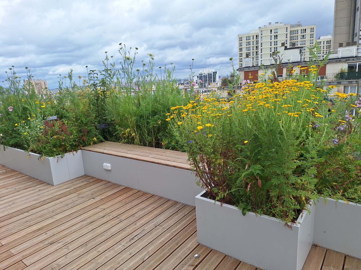 Rooftop du théâtre Le 13e Art, Porte d’Italie à Paris - Jardinières/costières sur mesure en acier thermolaqué fabriquées par Licce