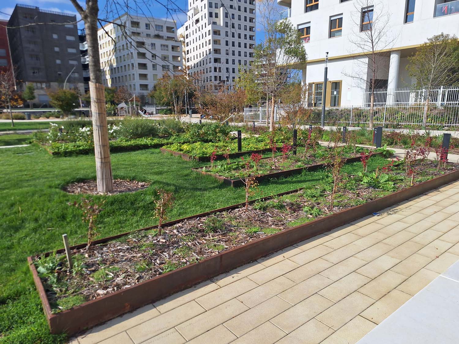 ZAC Parc d’Affaires à Asnières-sur-Seine - Aménagement d’espaces verts - Costières sur mesure en acier corten fabriquées par Licce