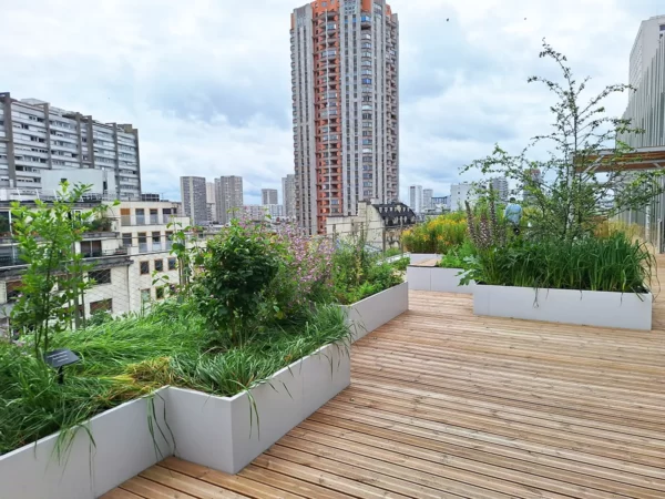 Intégration facile Modulys fichiers DWG AutoCAD prêts emploi projet rooftop aménagement urbain