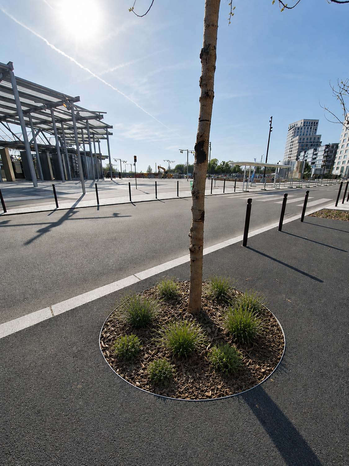 Gare Villejuif – Gustave Roussy - Voliges et entourages d’arbres sur mesure en acier galvanisé - Fabrication Licce