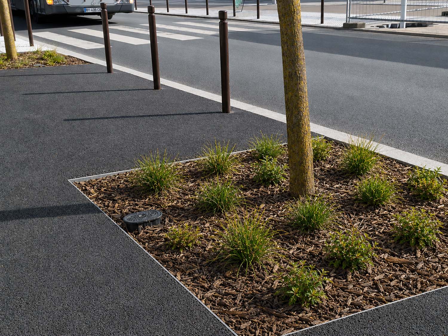 Gare Villejuif – Gustave Roussy - Voliges et entourages d’arbres sur mesure en acier galvanisé - Fabrication Licce